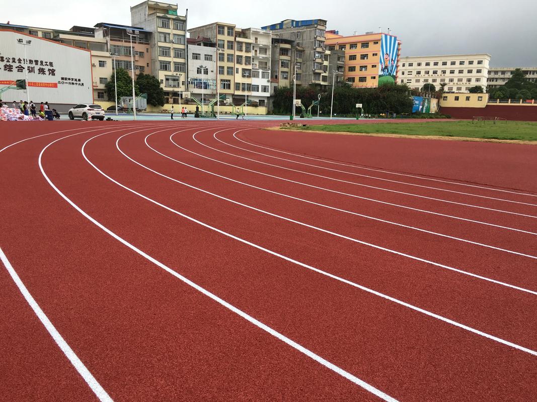 石嘴山市硅PU塑胶跑道材料 - 价格
